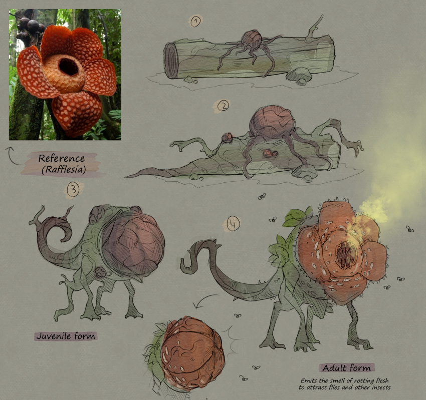 ambiguous_gender elemental_creature english_text feral flora_fauna flower flower_creature hi_res plant quadruped rafflesia rappenem reference_image solo tail text