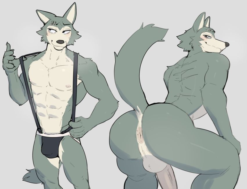 abs anthro anus areola athletic athletic_anthro athletic_male beastars big_butt big_penis black_nose blush butt canid canine canis cheek_tuft clothed clothing cute_expression ears_up erection eye_bags facial_tuft fur genitals grey_body grey_fur hi_res inviting jockstrap jockstrap_only jrjresq legoshi_(beastars) looking_at_viewer looking_back looking_back_at_viewer male mammal nipples nude pecs penis pink_blush seductive small_waist solo spread_anus spread_butt spreading straps thick_penis topless tuft underwear underwear_only white_body white_fur wolf