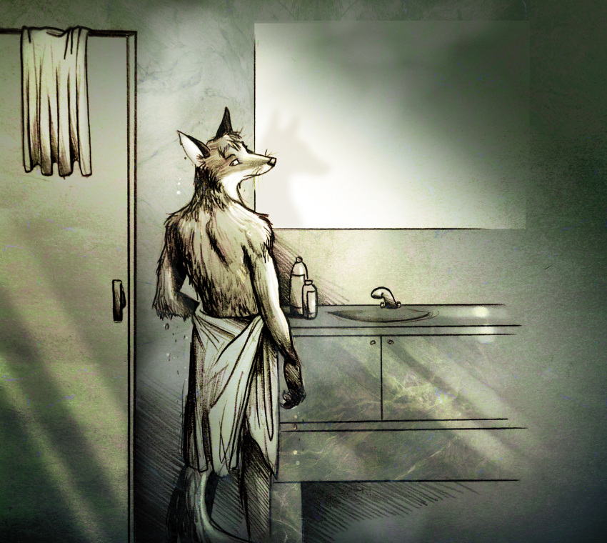 anthro canid canine culpeofox dipstick_arms dipstick_ears doppelfoxx dripping fox hi_res jakkals_van_der_bergh_(doppelfoxx) looking_at_viewer looking_back male mammal mirror monochrome multicolored_ears shampoo_bottle shower shower_door sink solo towel towel_around_waist towel_only wet whiskers