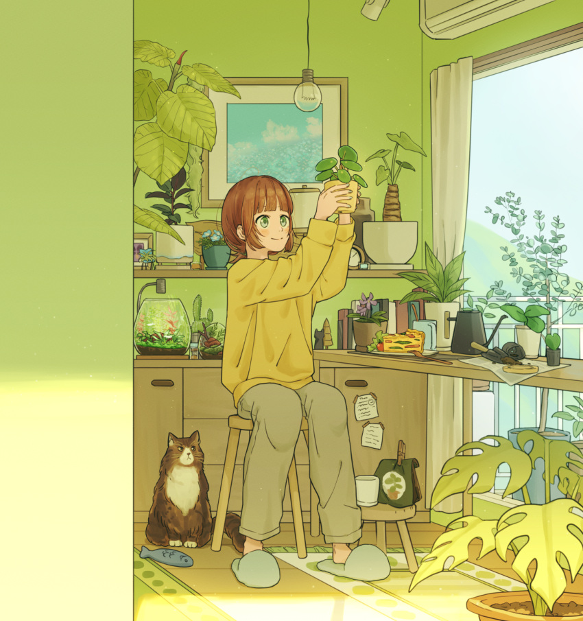 1girl air_conditioner animal balcony carpet cat chair cup curtains day desk fish_tank flower_pot food highres holding holding_flower_pot indoors leaf long_sleeves original pants picture_frame pie plant plant_focus potted_plant seed shelf shirt sitting solo stuffed_animal stuffed_fish stuffed_toy sunlight table toy twin-mix window wooden_floor