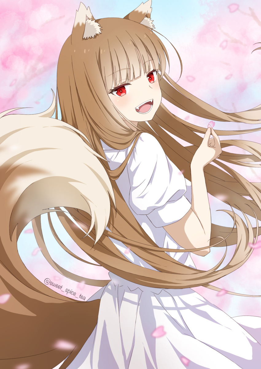 1girl absurdres animal_ears brown_hair dress fangs highres holding holding_petal holo long_hair looking_at_viewer petals red_eyes solo spice_and_wolf sweet_spice_tea tail tree twitter_username white_dress wolf_ears wolf_girl wolf_tail