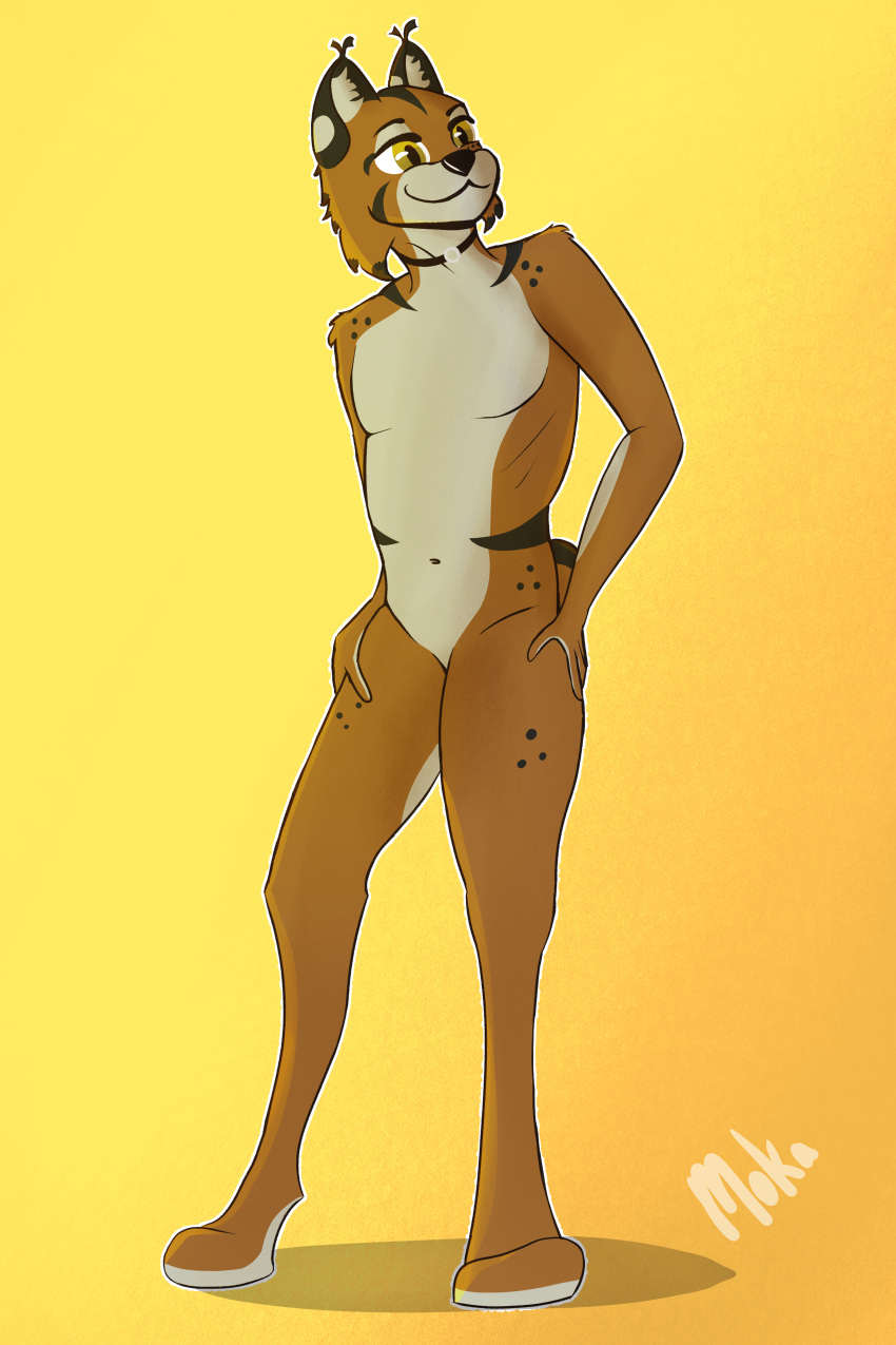 absurd_res anthro brown_body brown_fur collar felid feline fur hi_res larger_male lynx male mammal mokalynx nub_tail orange_body orange_fur pinup pose simple_background size_difference solo spots standing stripes yellow_eyes