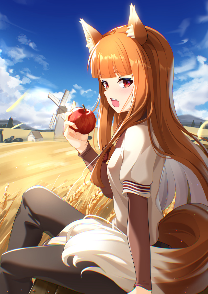 1girl absurdres animal_ear_fluff animal_ears apple black_pants blue_sky brown_hair cloud commentary_request day food fruit highres holding holding_food holding_fruit holo long_hair looking_at_viewer open_mouth outdoors pants red_eyes shirt sitting sky solo spice_and_wolf sunny_(20597521) tail teeth upper_teeth_only wheat_field white_shirt wolf_ears wolf_girl wolf_tail