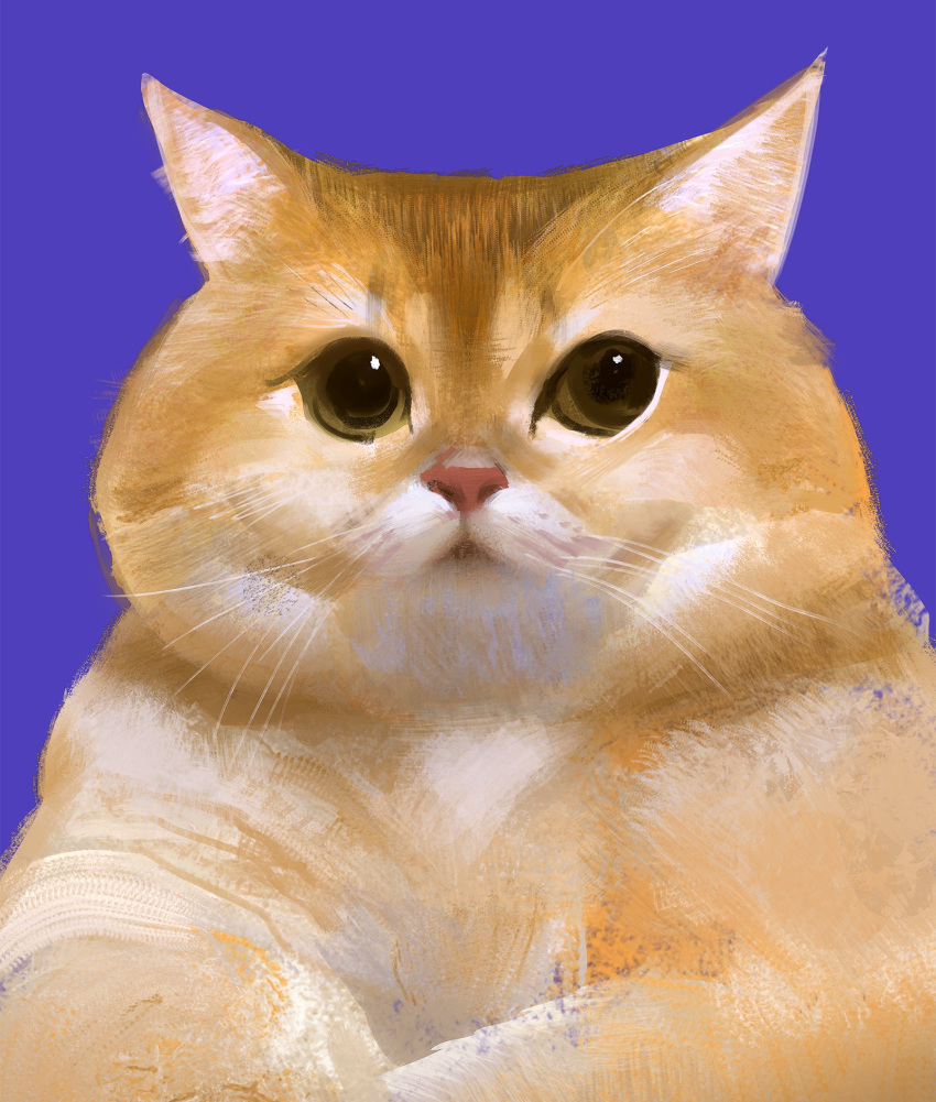 animal animal_focus black_eyes blue_background brown_eyes cat close-up commentary faux_traditional_media highres looking_at_viewer no_humans orange_cat original plump portrait purple_background realistic simple_background solo straight-on symbol-only_commentary whiskers yuming_li