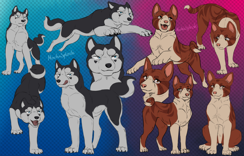 akita basenji blue_background blue_eyes brown_body brown_eyes brown_fur canid canine canis curled_tail domestic_dog duo ears_down ears_up eyelashes featureless_crotch female feral fur ginga_(series) grey_body grey_fur half-closed_eyes heart_symbol hi_res jumping kudo licking licking_lips licking_own_lips looking_down looking_up male mammal mochasplash nails narrowed_eyes open_mouth pink_background pink_nose pivoted_ears primitive_dog simple_background sitting smile spitz standing suki_(mochasplash) tail tongue