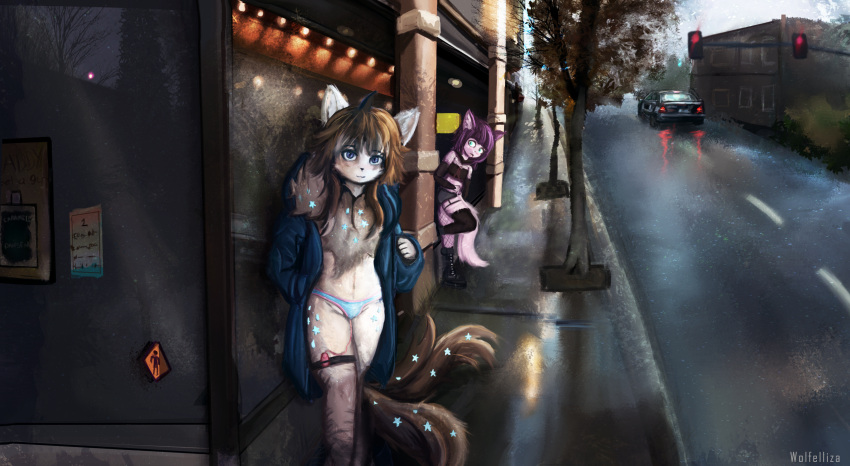 2_tails anthro blue_eyes blush brown_hair canid canine car chest_fur chest_tuft city city_background clothing coat crystal day duo egg_vibrator exhibitionism female female/female female_focus fox fur garter_straps hair happy hi_res inner_ear_fluff looking_at_another looking_at_viewer magic mammal multi_tail on_one_leg panties plant purple_body scared scared_face sex_toy standing star street tail topwear traffic_light tree tuft underwear vehicle vibrator white_body white_fur wolfelliza zianya_(wofelliza)