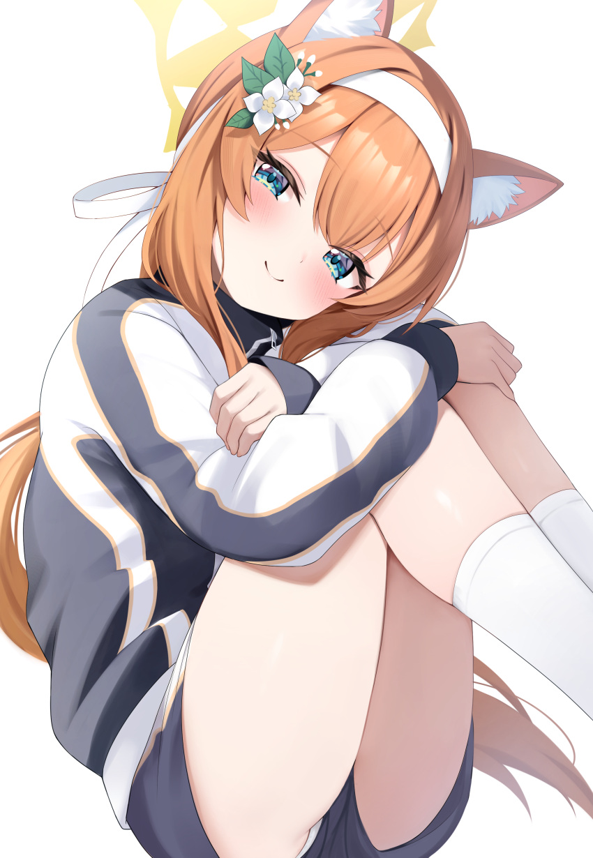 1girl absurdres animal_ear_fluff animal_ears blue_archive blue_buruma blue_eyes blush buruma cat_ears commentary_request flower gym_uniform hair_flower hair_ornament hairband halo highres long_hair long_sleeves looking_at_viewer mari_(blue_archive) mari_(track)_(blue_archive) official_alternate_costume orange_hair panties panties_under_buruma rei_(ilust9999) revision simple_background sitting socks solo thighs underwear white_background white_flower white_hairband white_panties white_socks yellow_halo