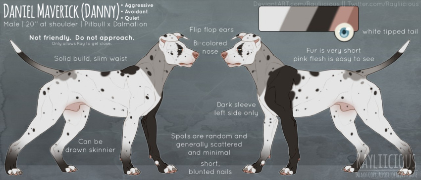animal_genitalia black_body blue_eyes canid daniel_maverick feral floppy_ears fully_sheathed genitals glistening glistening_eyes grey_body male mammal markings model_sheet mouth_closed pawpads pink_pawpads quadruped rayliicious sheath side_view solo spots spotted_body white_body