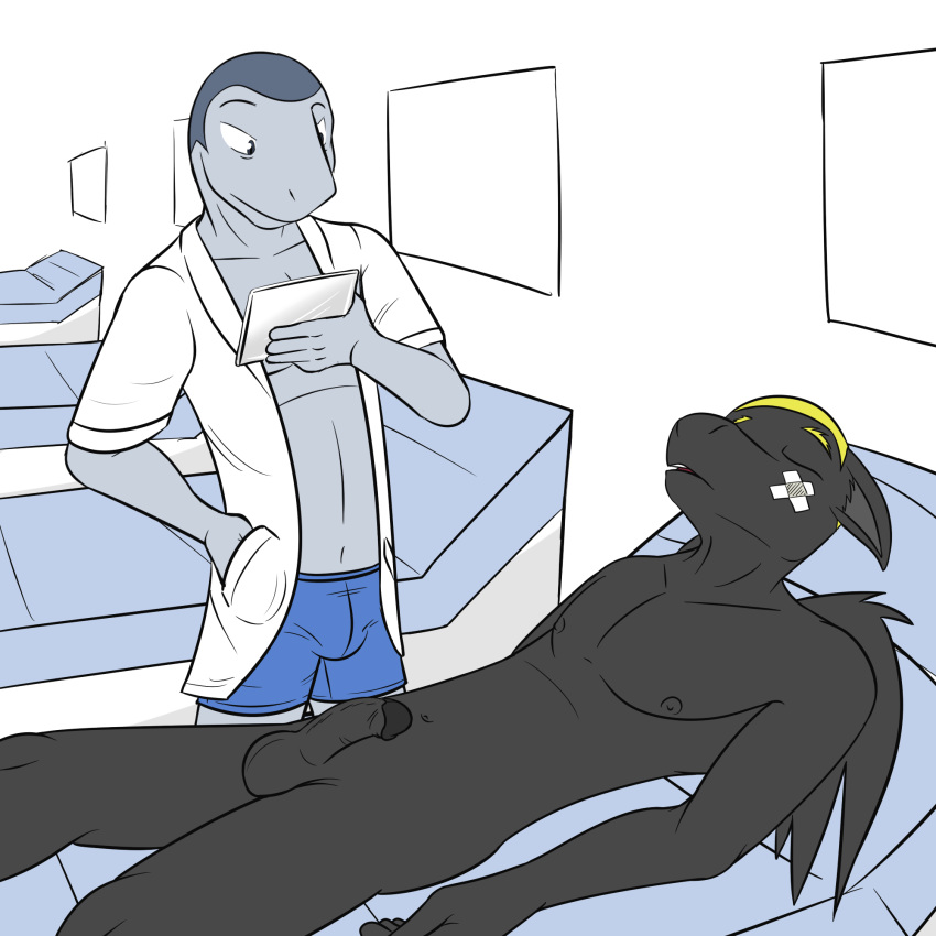 anthro bed chair coat doctor equine erection examination fish fuze hi_res humanoid_penis inside knockout lying male mammal marine medical nude on_back on_bed pegasus penis shark simple_background wings