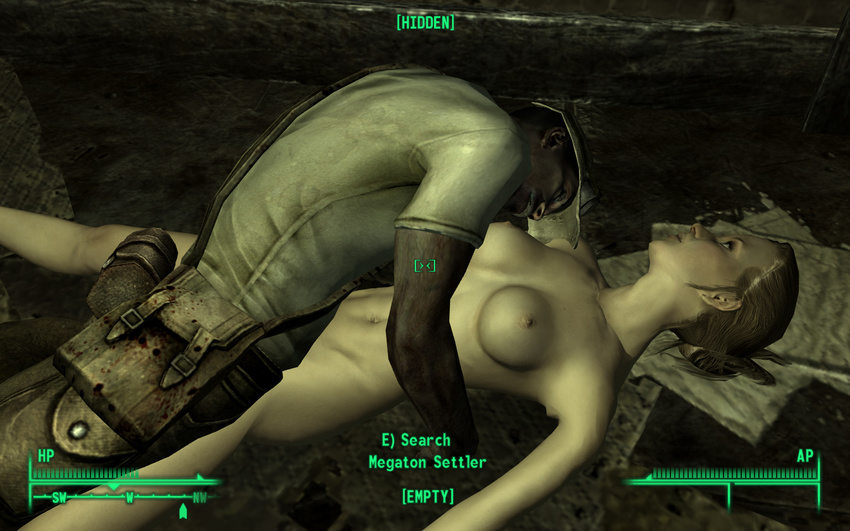 fallout fallout_3 tagme