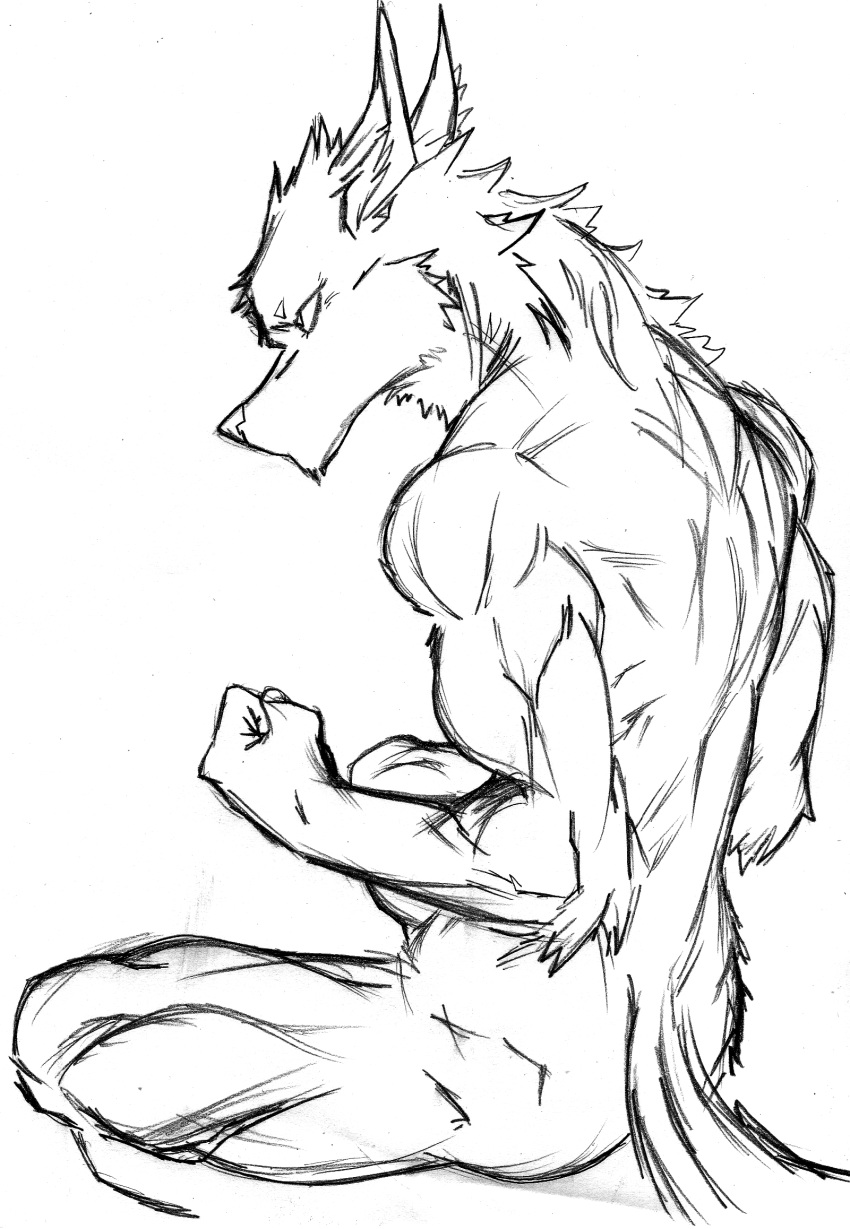 2018 angry arm_muscles athletic athletic_female back_muscles biceps buns canine crouching eyebrows female flexing fluffy forward fur gluteal_muscles harpseal hybrid inner_ear_fluff leg_muscles mammal muscular muscular_female pointy_ears ribs serious sitting spiky_hair stare tuft wolf