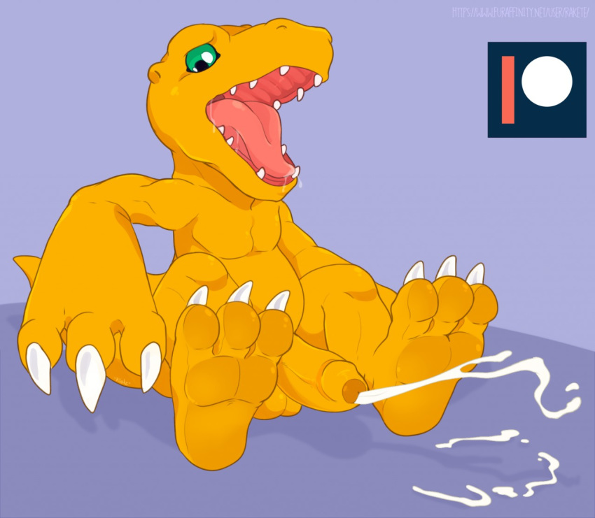 agumon anthro bald balls barefoot claws cum cum_on_ground cumshot cute digimon dinosaur drooling ejaculation erection green_eyes hands-free humanoid_penis male nude on_ground open_mouth orange_skin orgasm pecs penis saliva scalie shadowpelt sharp_claws sharp_teeth sitting slightly_chubby solo teeth toe_claws tongue uncut
