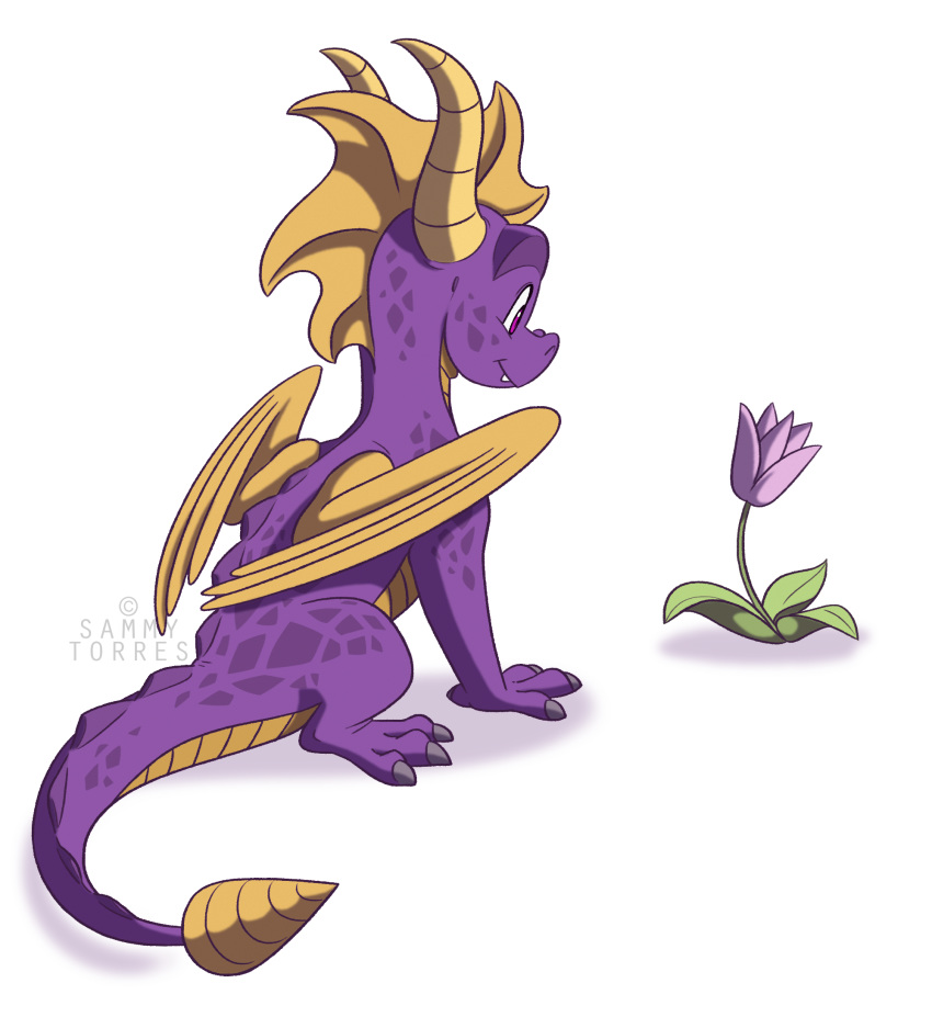 barefoot claws cute cute_fangs dragon feral flower hi_res horn male nude pink_eyes plant purple_skin sammymationsart scalie sharp_claws sharp_teeth simple_background sitting smile solo spyro spyro_the_dragon teeth toe_claws video_games western_dragon white_background wings