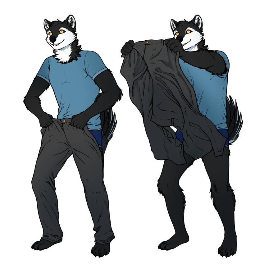 4_toes alpha_channel anthro barefoot black_fur black_nose black_sclera canine claws clothed clothing conditional_dnp dog fur hi_res husky mammal meme pants ratte simple_background standing thehuskyk9 toe_claws toes torn_clothing transparent_background underwear white_fur yellow_eyes