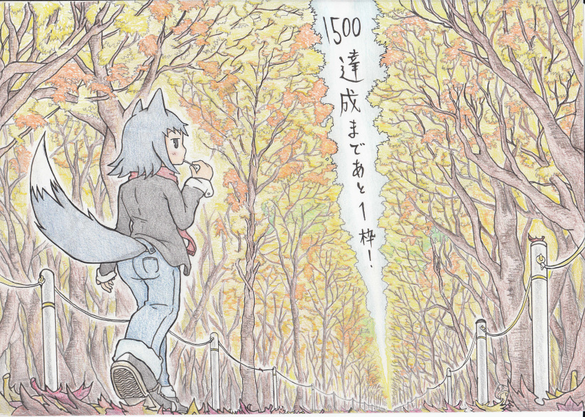 absurdres animal_ears autumn_leaves black_eyes black_footwear blue_pants denim doitsuken fence fox_ears fox_tail fur_trim grey_hair hand_up highres jeans jitome long_sleeves looking_at_viewer looking_back original pants path red_scarf road scan scarf solo tail traditional_media translation_request tree