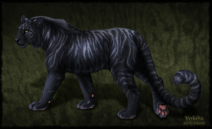 black_fur black_nose digital_media_(artwork) feline feral fur mammal paws sidonie simple_background solo standing tiger whiskers yellow_eyes