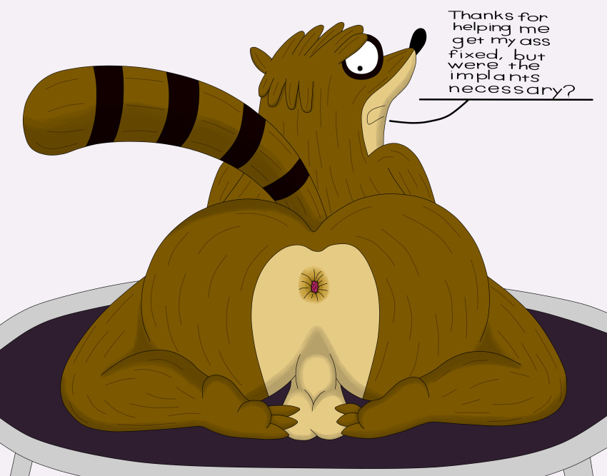 3_toes absurd_res anthro anus backsack balls butt cartoon_network hi_res looking_back male mammal procyonid raccoon rear_view regular_show rigby_(regular_show) solo toes trampoline