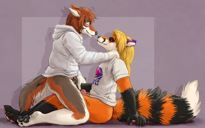2018 4_toes 5_fingers anthro anthro_on_anthro black_fur black_nose blonde_hair blush bottomless brown_fur brown_hair canine clothed clothing cowgirl_position coyote desmond_(ceeb) duo ears_back erection eyes_closed female fingering fingering_partner fingerpads fox fur gloves_(marking) hair hand_on_shoulder hoodie humanoid_penis hybrid looking_pleasured male male/female mammal marjani markings multicolored_fur on_top orange_fur pawpads paws penis pussy red_penis sex shirt side_view simple_background sitting smile socks_(marking) toes uncut vaginal vaginal_fingering white_fur