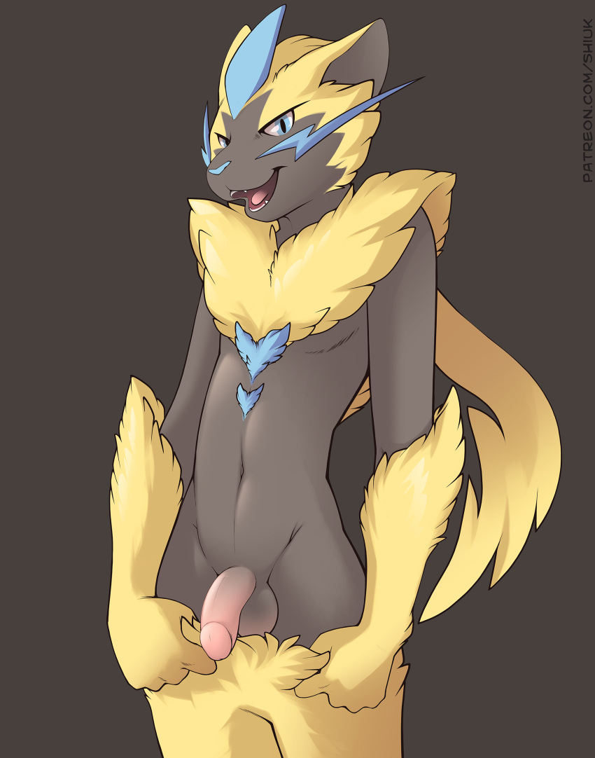 anthro black_fur blue_eyes blue_fur chest_tuft clothing feline fur humanoid_penis male mammal navel nintendo open_mouth pants penis pok&eacute;mon pok&eacute;mon_(species) shiuk simple_background solo tuft undressing video_games yellow_fur zeraora