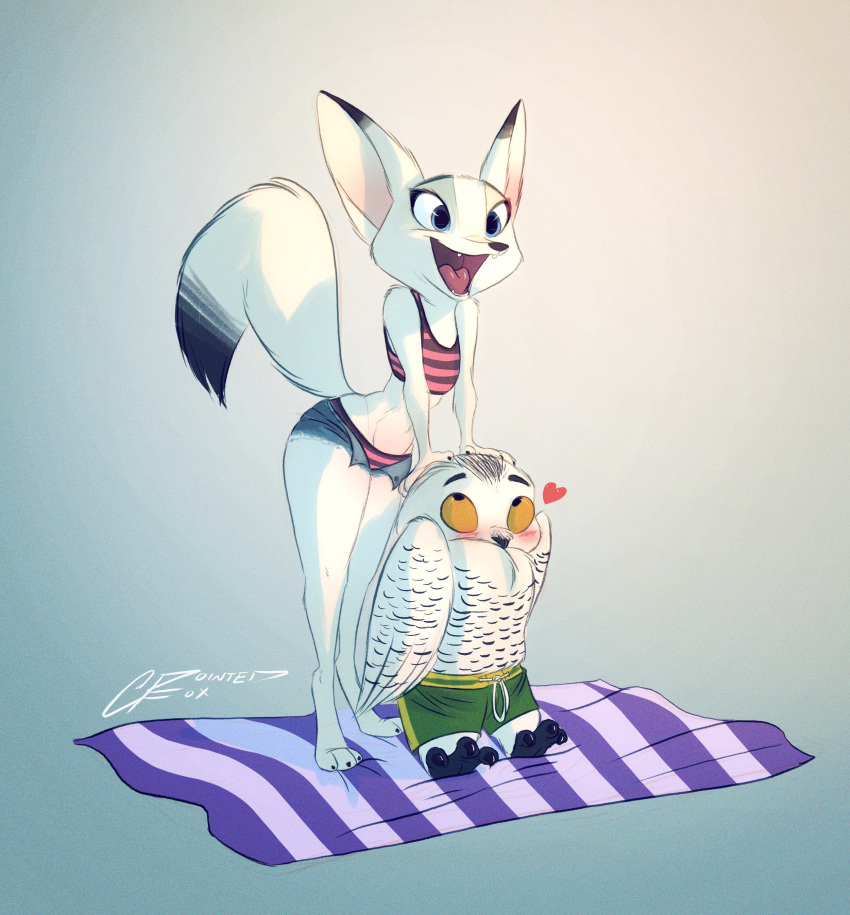 &lt;3 2018 3_toes absurd_res anthro arctic_fox avian beach_blanket bikini bird blue_eyes blush canine clothed clothing digital_drawing_(artwork) digital_media_(artwork) dipstick_ears dipstick_tail duo eyelashes feathers female fox fur grainy hi_res leaning looking_up male mammal midriff multicolored_tail open_mouth open_smile owl pointedfox shorts signature simple_background slim smile swimming_trunks swimsuit toes topless white_feathers white_fur yellow_sclera