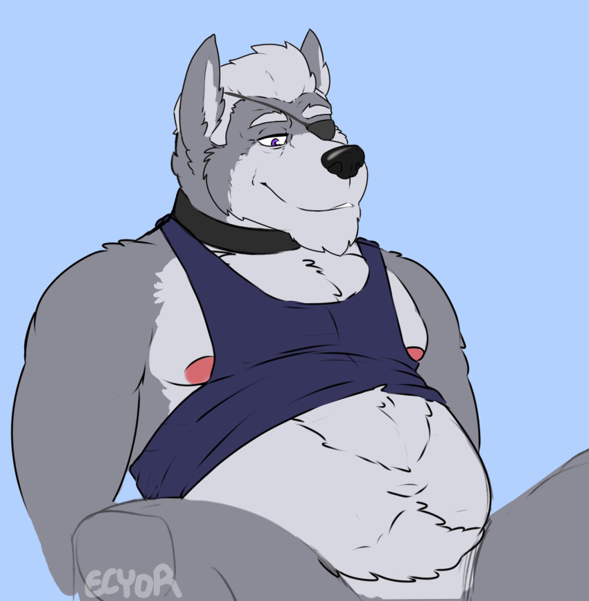 2017 areola bedroom_eyes belly black_nose blue_background body_hair bottomless canine clothed clothing clothing_lift eye_patch eyewear featureless_crotch fur grey_fur grey_hair hair half-closed_eyes happy_trail hi_res looking_down male mammal mature_male mostly_nude navel nintendo nude overweight purple_eyes rine seductive shirt shirt_lift simple_background sitting smile solo spread_legs spreading star_fox tank_top teeth video_games wolf wolf_o'donnell wrinkles