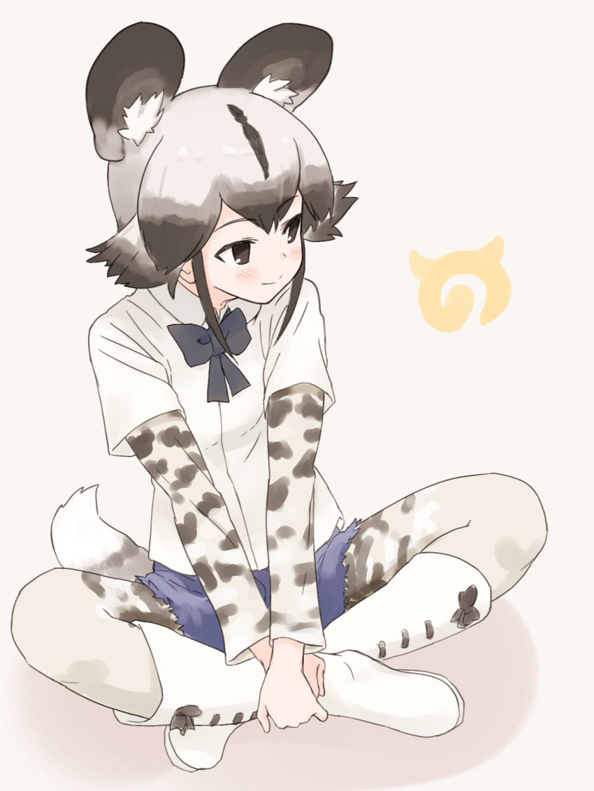 african_wild_dog_(kemono_friends) african_wild_dog_print animal_ears animal_print black_eyes black_hair black_neckwear boots bow bowtie closed_mouth dog_ears dog_tail dress_shirt grey_background grey_hair highres indian_style japari_symbol kemono_friends long_sleeves multicolored multicolored_clothes multicolored_hair multicolored_legwear pantyhose pantyhose_under_shorts print_legwear shadow shirt short_over_long_sleeves short_sleeves sitting smile solo tail two-tone_hair uasi v_arms white_footwear white_legwear white_shirt wing_collar