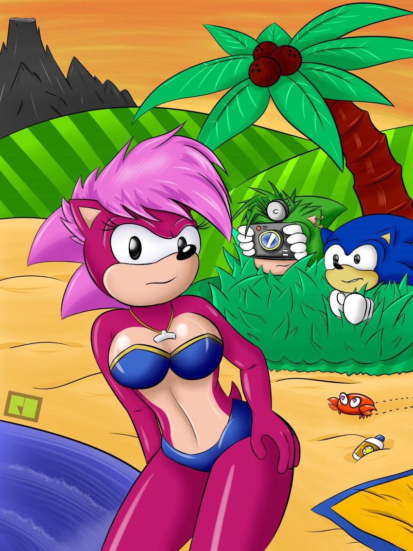 anthro beach breasts camera clothing female hair hedgehog looking_at_viewer mammal manic_the_hedgehog randomobliquity_(artist) seaside sonia_the_hedgehog sonic_(series) sonic_the_hedgehog swimsuit