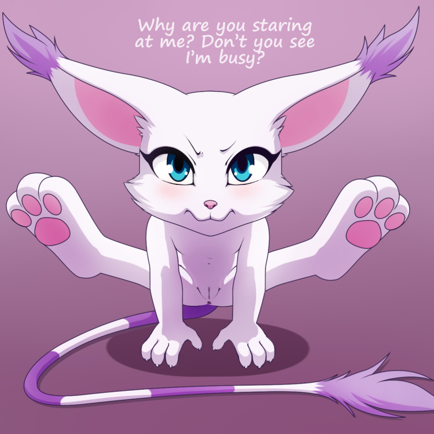 anus big_ears blue_eyes darkmirage digimon ear_tuft english_text feline female fur gatomon handstand legs_raised long_tail looking_at_viewer mammal nude pink_nose pose pussy solo stretching text tuft white_fur yoga