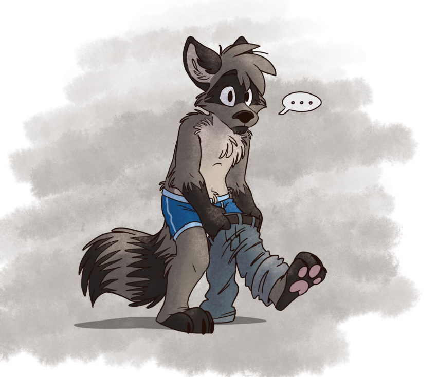 anthro barefoot blue_pants blue_underwear boxer_briefs clothed clothing dressing jeans mammal pants procyonid raccoon solo tinydeerguy topless underwear