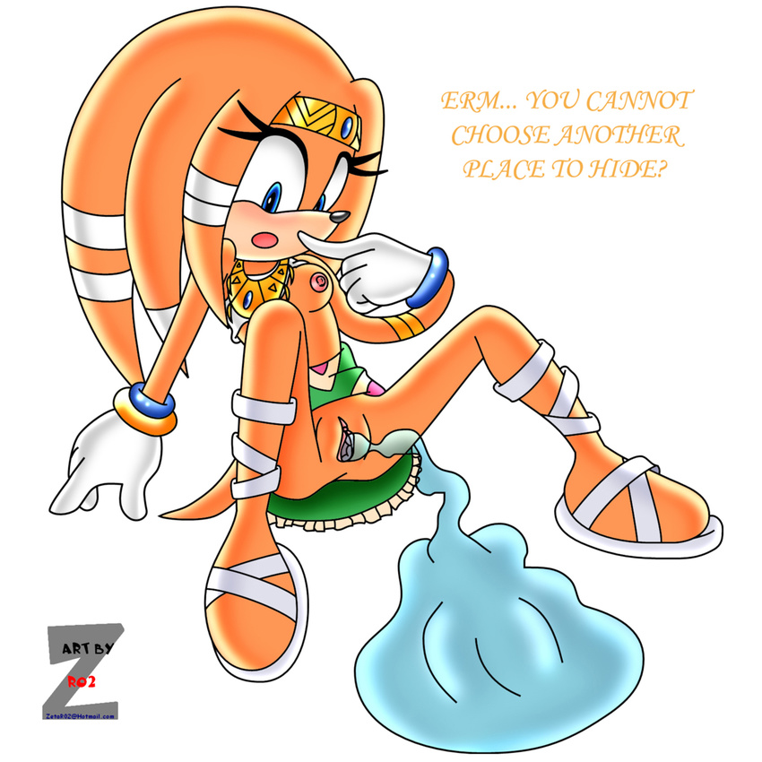 chaos sonic_team tagme tikal_the_echidna zetar02