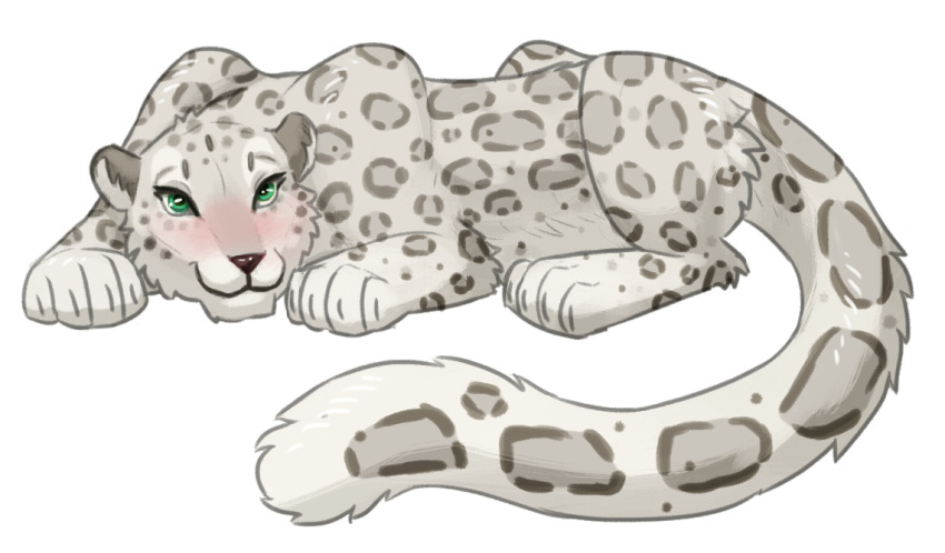 2018 blush brown_nose cute digitoxici feline female feral fur green_eyes grey_fur leopard looking_at_viewer mammal simple_background smile snow_leopard solo white_background