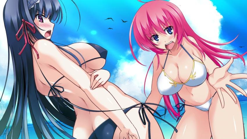 2girls ahoge ass back bare_arms bare_legs bare_shoulders bikini bird black_bikini black_hair blue_eyes blush breasts cleavage game_cg highres kannei_kouha large_breasts legs long_hair looking_at_viewer multiple_girls open_mouth original outdoors outstretched_arms pink_eyes pink_hair rikuson_hakugen_(sangoku_hime) sangoku_hime sangoku_hime_2 sideboob sky standing sunlight thighs thong unicorn-a white_bikini