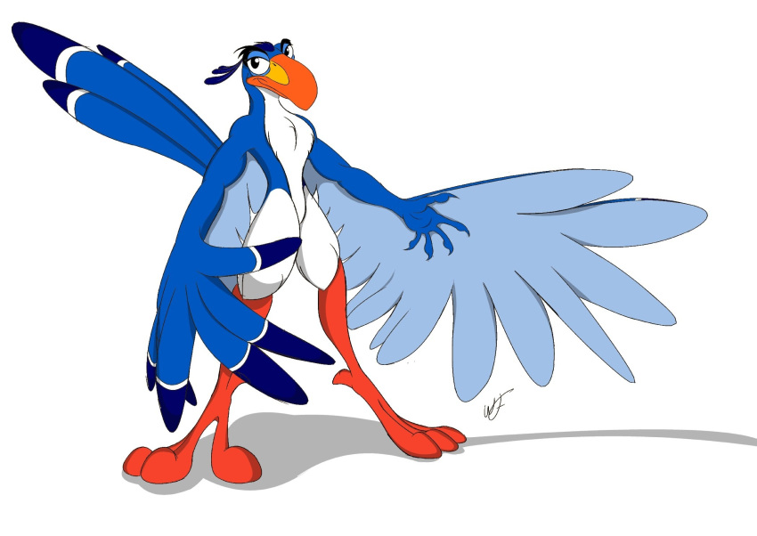 2008 5_fingers anthro anthrofied avian beak biceps bird blue_feathers claws disney feathered_wings feathers gunzcon hi_res hornbill looking_at_viewer male muscular nude orange_beak pose red-billed_hornbill signature simple_background smile solo standing the_lion_king white_background white_feathers winged_arms wings zazu
