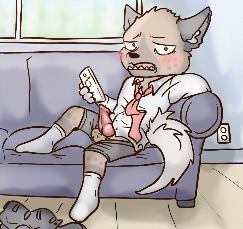 aggressive_retsuko anthro balls erection haida hyena lavilovi male mammal penis sanrio sofa