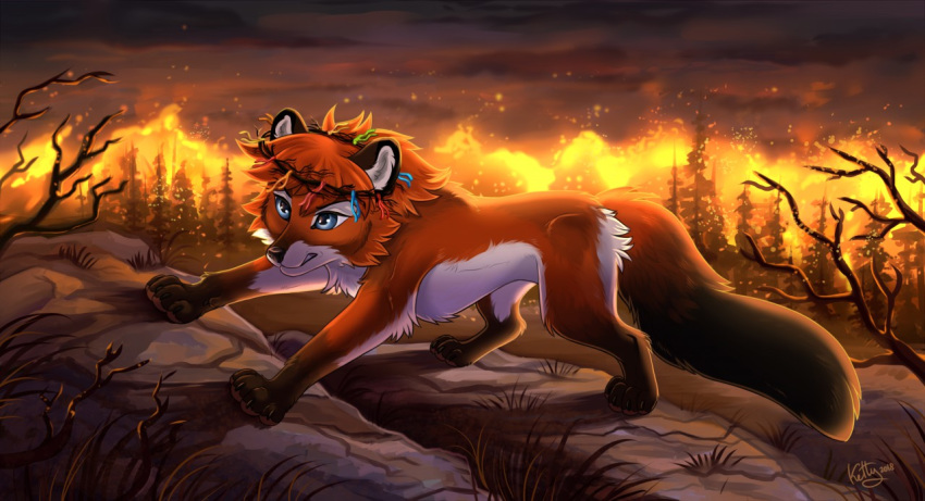 2018 black_nose blue_eyes canine detailed_background digital_media_(artwork) female feral fire fox fur hair ketty-leopardess mammal night orange_fur orange_hair outside paws solo standing