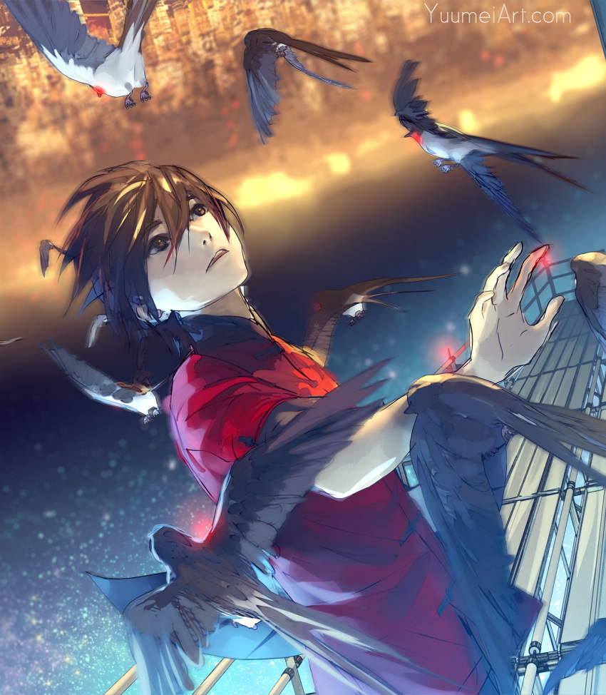 animal bird black_hair blurry blurry_background brown_eyes chinese_clothes city dutch_angle flock highres knite looking_up male_focus night sky solo star_(sky) starry_sky swallow watermark web_address wenqing_yan