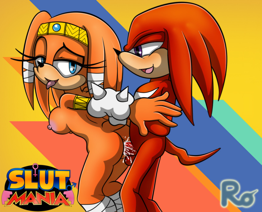 anthro balls black_nose blush breasts butt cum digital_media_(artwork) female male male/female mammal nipples nude open_mouth penis raianonzika sex simple_background smile sonic_(series) video_games