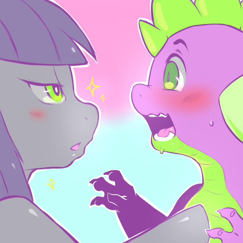 blush cold-blooded-twilight dragon duo earth_pony equine eye_contact female friendship_is_magic green_eyes hi_res horse male male/female mammal maud_pie_(mlp) my_little_pony nervous open_mouth pony purple_body scalie spike_(mlp) sweat