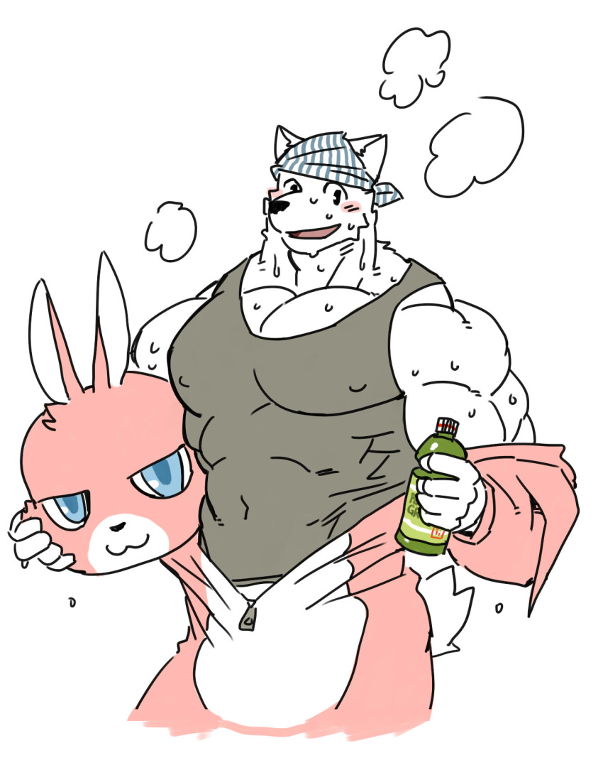 anthro bandanna beverage blush bottle bunny_costume canine clothing costume food furry_character_wearing_fursuit fursuit headkerchief hi_res lagomorph looking_at_viewer male mammal muscular rabbit rabbit_fursuit shirt solo steam sweat syukapong tank_top zipper