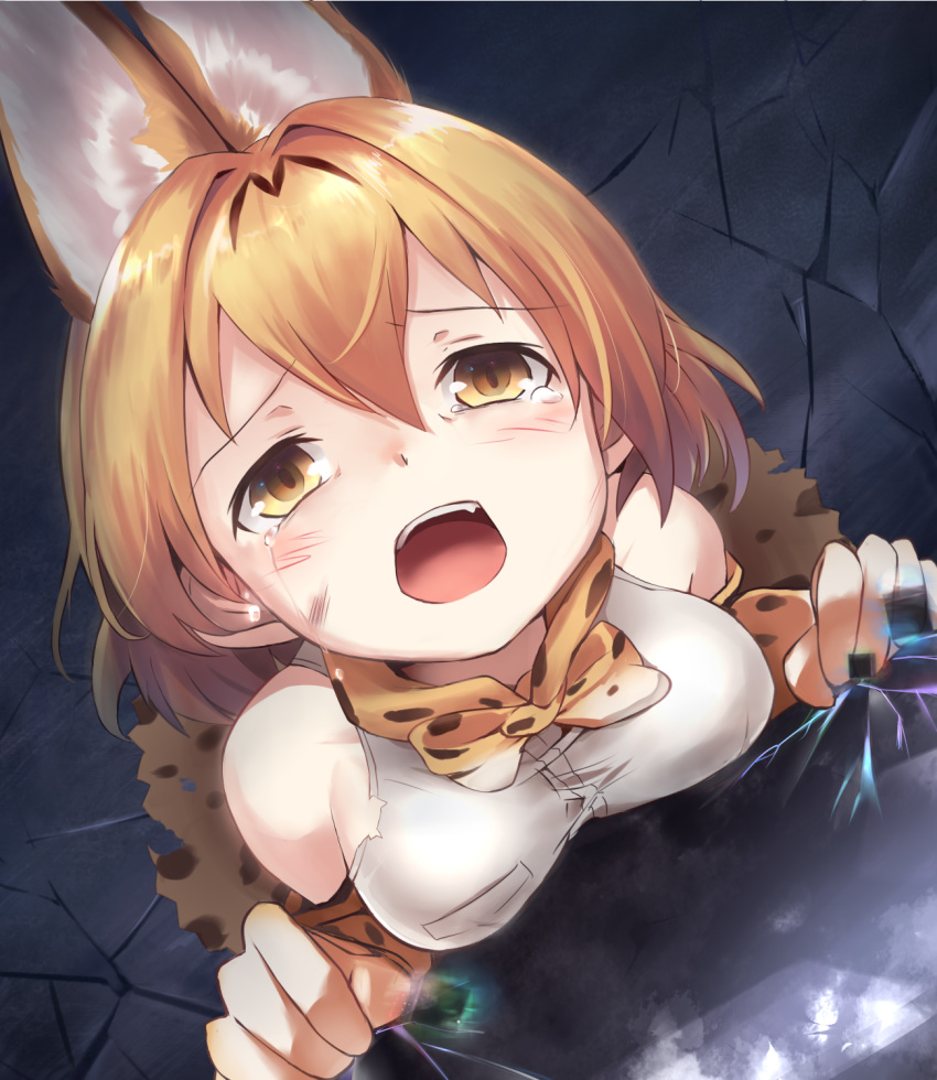 animal_ears bare_shoulders black_cerulean_(kemono_friends) blonde_hair blush bow bowtie commentary crack crying crying_with_eyes_open elbow_gloves extra_ears eyebrows_visible_through_hair fang from_above gloves hair_between_eyes highres kemono_friends kuro_(baseball0000) looking_at_viewer open_mouth print_gloves print_neckwear print_skirt scratches serval_(kemono_friends) serval_ears serval_print shirt skirt sleeveless sleeveless_shirt solo tears white_shirt yellow_eyes