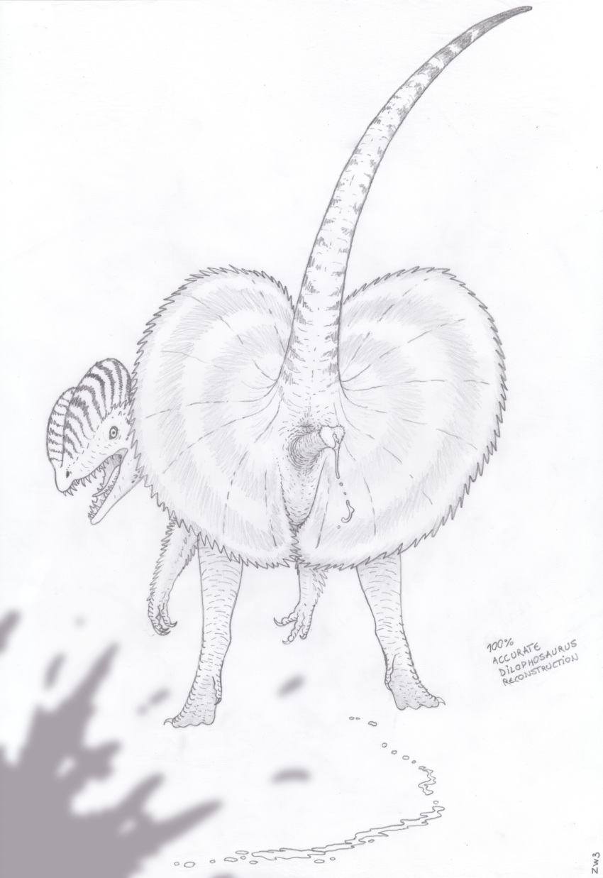 2018 absurd_res animal_genitalia anus ass_up attack biped butt claws cum cum_drip cum_on_ground cum_on_viewer cum_stain dilophosaurus dinosaur dripping e621_exclusive english_text erection feathers feral frill greyscale hi_res humor looking_at_viewer looking_back male monochrome nude open_mouth orgasm pencil_(artwork) penis presenting presenting_anus presenting_hindquarters presenting_penis raised_tail reptile scales scalie simple_background solo stripes teeth text theropod tongue traditional_media_(artwork) unusual_penis venom zw3