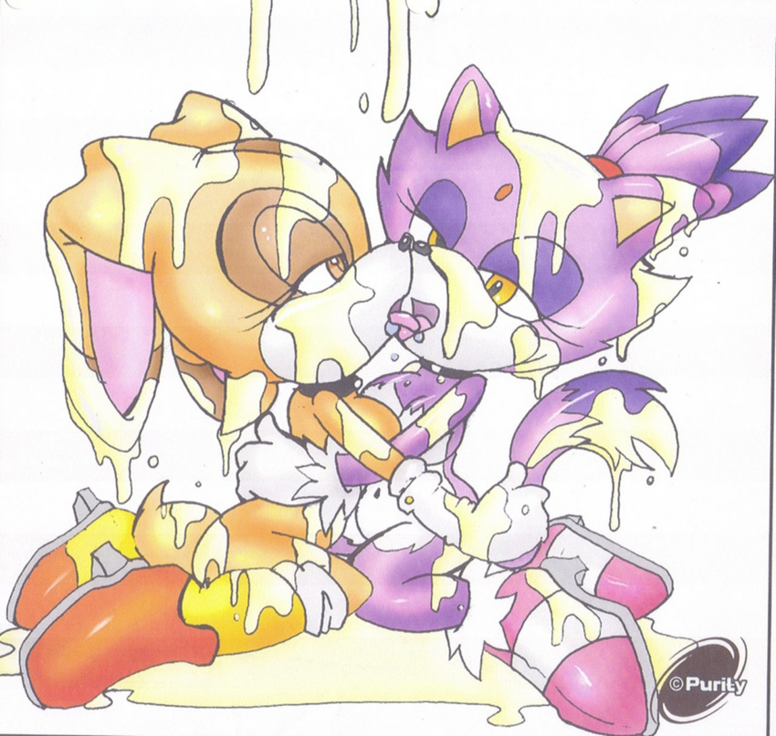 blaze_the_cat cream_the_rabbit purity sonic_team tagme