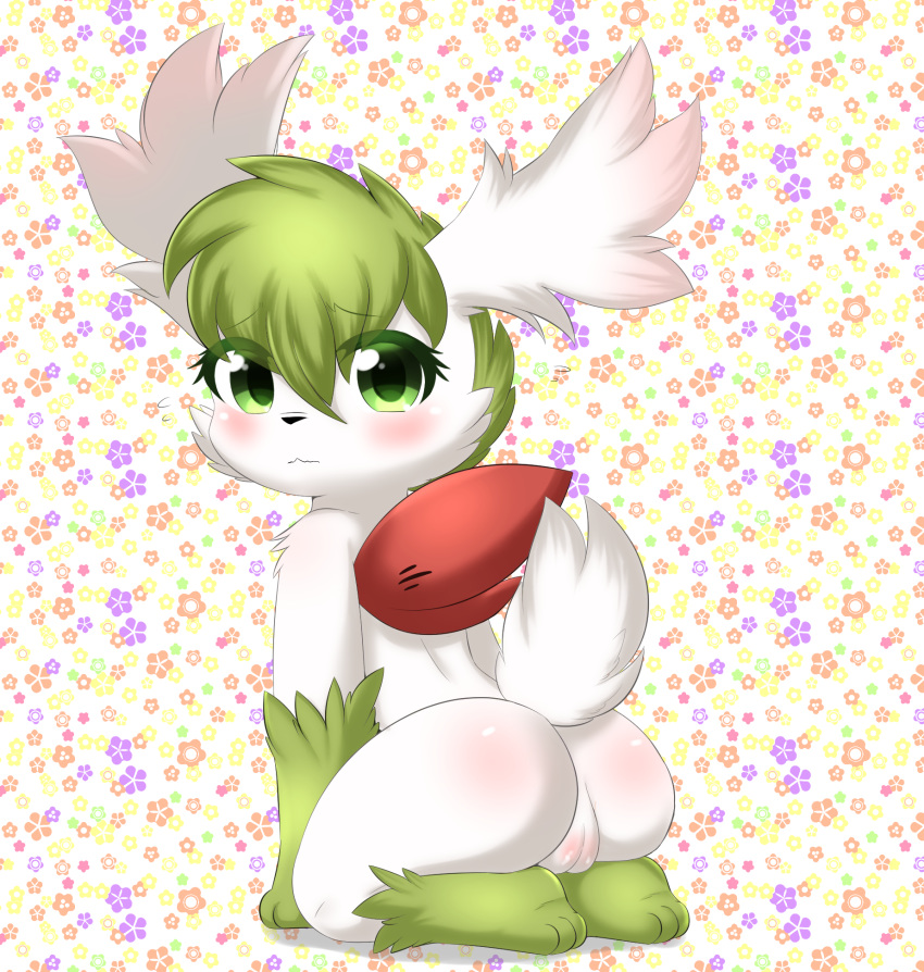 anthro blush butt digital_media_(artwork) female fur hi_res legendary_pok&eacute;mon looking_at_viewer looking_back mammal nintendo nude papilrux pok&eacute;mon pok&eacute;mon_(species) presenting presenting_hindquarters pussy shaymin shaymin_(sky_form) shy simple_background solo video_games