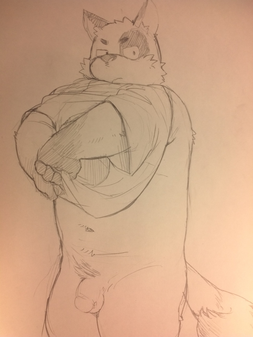 anthro balls bottomless clothed clothing eyebrows flaccid hi_res kemono kitajiro2 looking_at_viewer male monochrome pencil_(artwork) penis sepia sketch slightly_chubby solo traditional_media_(artwork) undressing