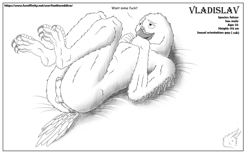 anthro avian balls beak bird butt erection falcon feathereddiva feathers male muscular penis phrases slim solo submissive vladislav