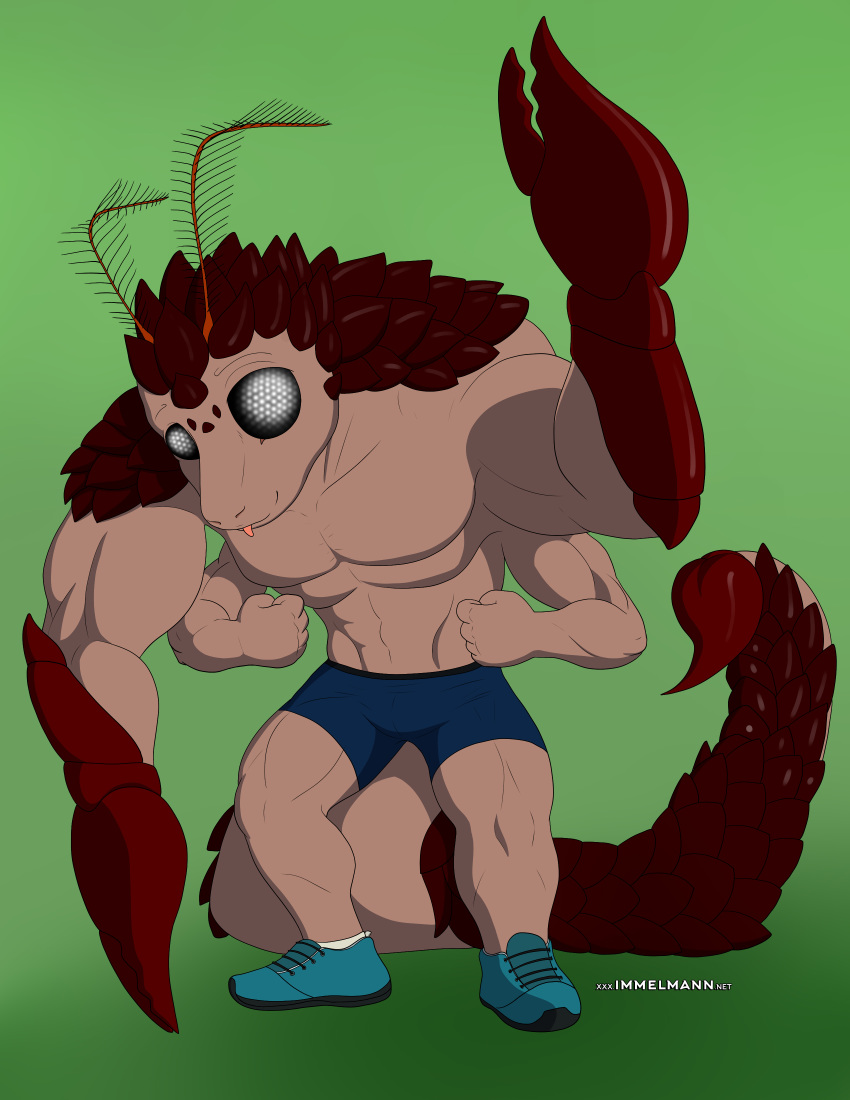 2018 absurd_res antennae anthro arachnid arthropod brown_fur clothing compound_eyes digital_drawing_(artwork) digital_media_(artwork) footwear fur green_background hi_res hybrid immelmann insect julian_(tenpoundhammer) male mammal moth multi_arm multi_limb muscular pangolin pincers scales scorpion shoes shorts simple_background solo stinger suddenlytsumi tongue top_heavy