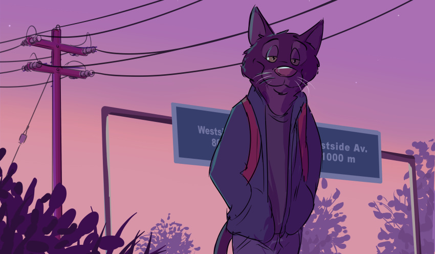 2018 cat clothed clothing digital_media_(artwork) feline jacket looking_at_viewer mammal paintfox pink_sky sign star walking whiskers