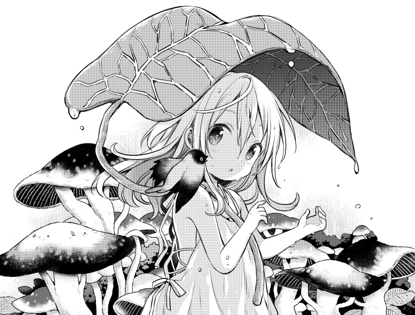 ahoge bird chiya_(urara_meirochou) commentary_request greyscale hair_between_eyes harikamo highres leaf leaf_umbrella long_hair monochrome mushroom official_art rain solo urara_meirochou