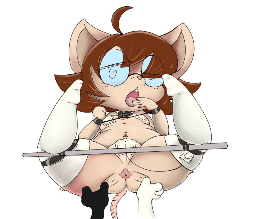 alpha_channel anthro anus arms_bound_to_collar bdsm bondage bound breasts brown_hair clothing collar eyewear female glasses hair hi_res japanese_clothing legs_up legwear lying maebari mammal mouse nipple_tape on_back open_mouth pasties pussy red_(vono) rodent sex_toy shackles shortstack small_breasts solo_focus spread_anus spread_legs spreader_bar spreading stockings tape thick_thighs vibrator vono