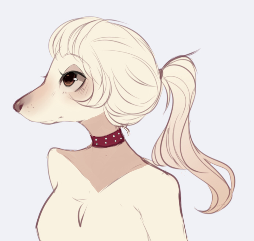 breasts canine collar dog featureless_breasts female fredek666 fur hair mammal mostly_nude ponytail saluki simple_background white_background white_fur white_hair witchpuppy